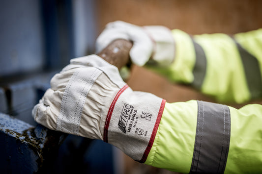 NITRAS 1403B // APOLLO